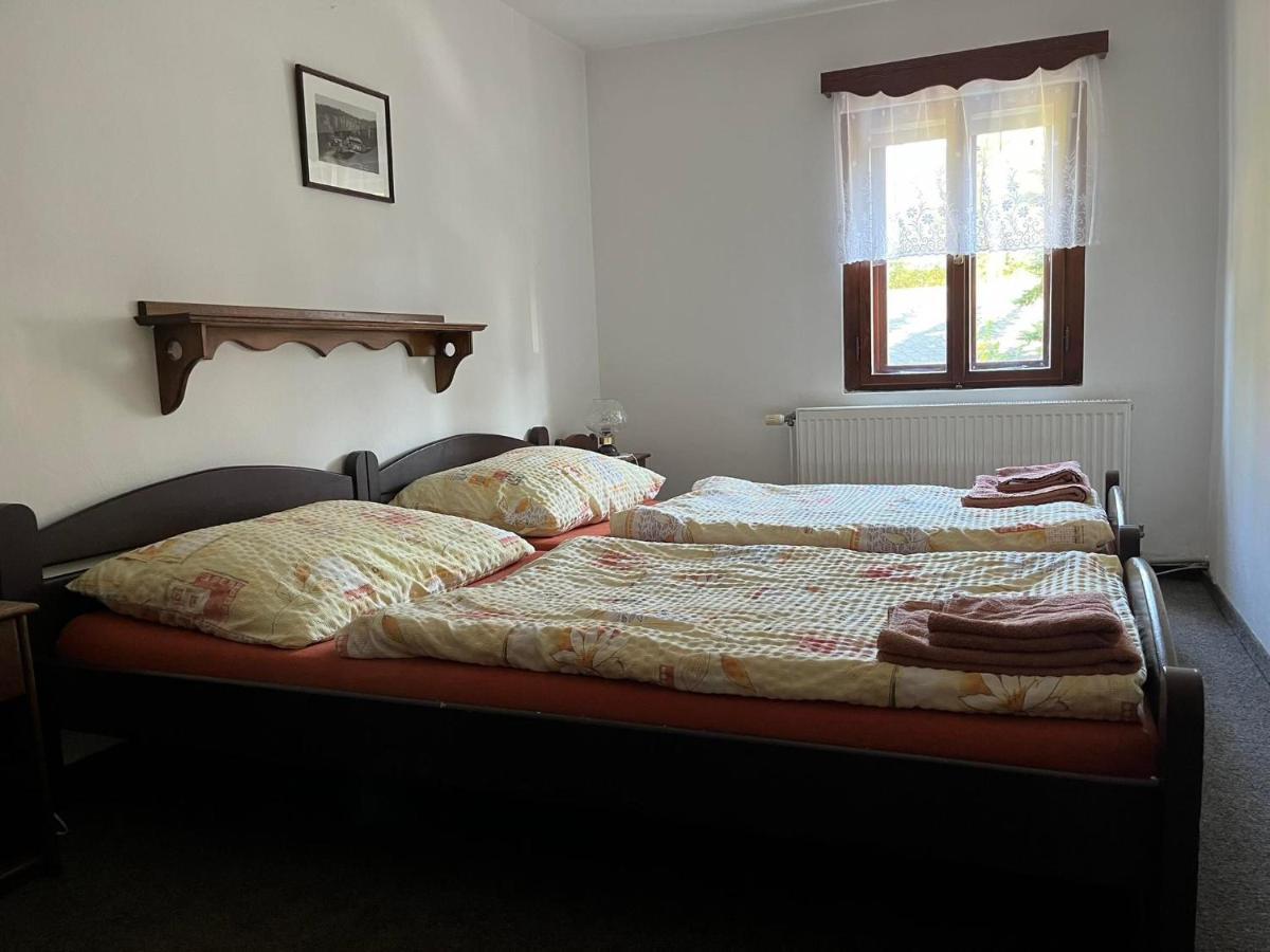 Hotel Penzion Dřevák Jetřichovice Esterno foto